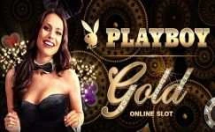 Playboy Gold